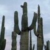 pieces_of_phx